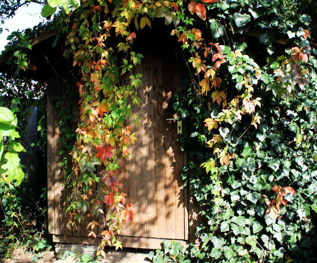 Ferienwohnung Little Paradise - Retreat- And Meditation Center Hoisdorf Exterior foto